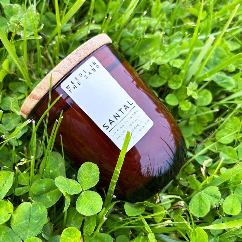 Soy Wax Candle by Weeds In The Sand