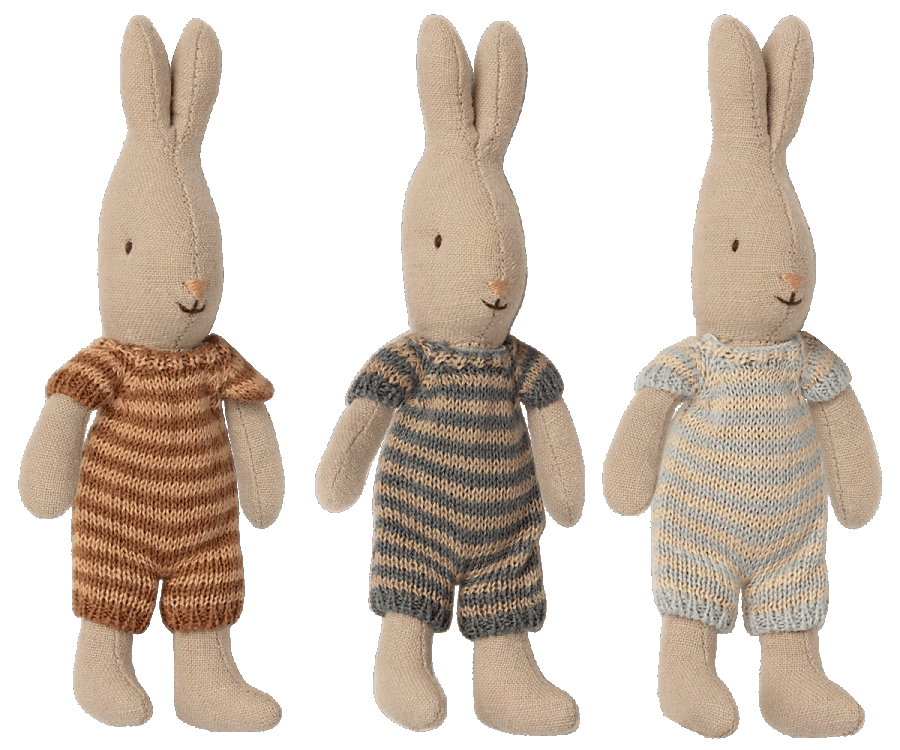 Micro Rabbit