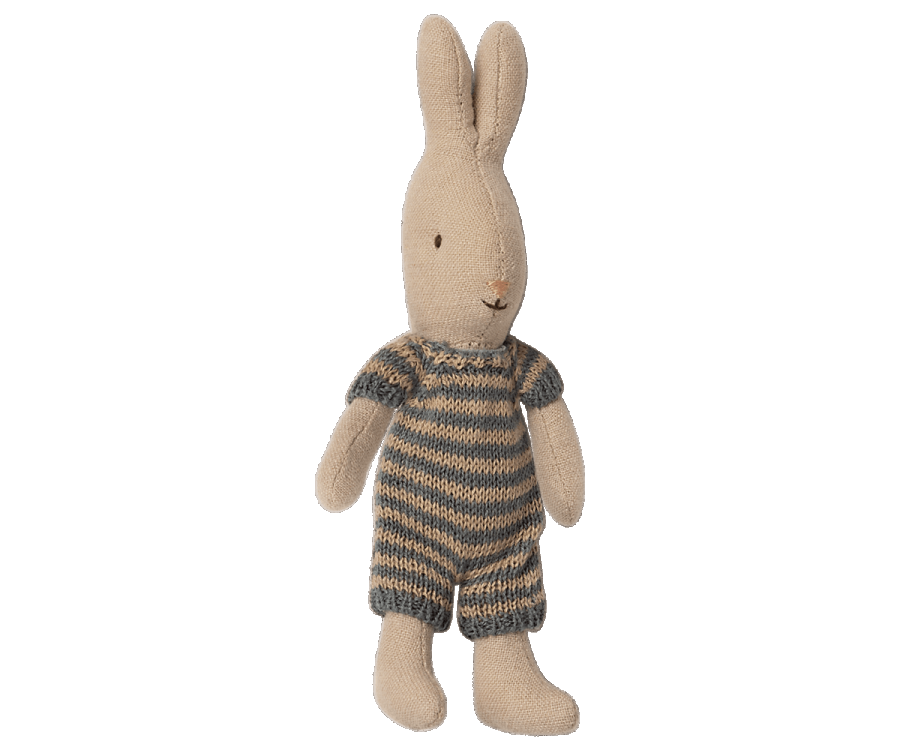 Micro Rabbit