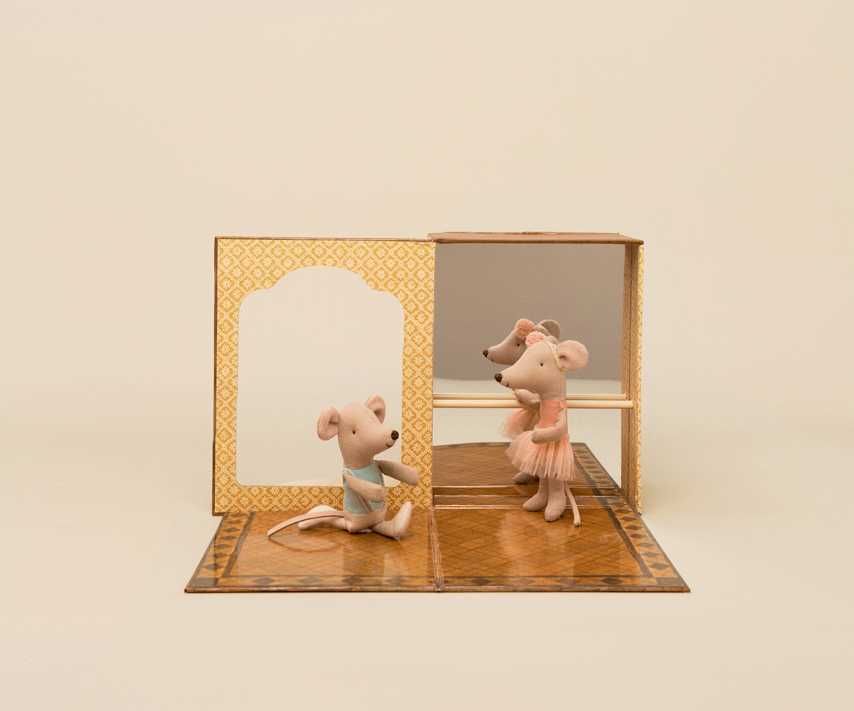 Little Sister And Brother Ballet Mice In Dance Studio