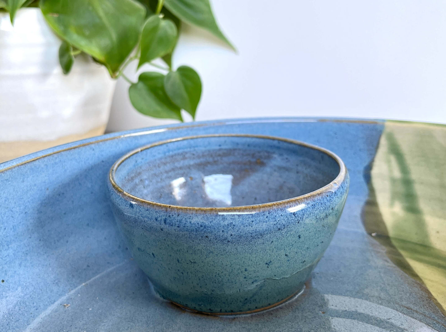 Large Chip And Dip Bowl Large Summer Party Bowl