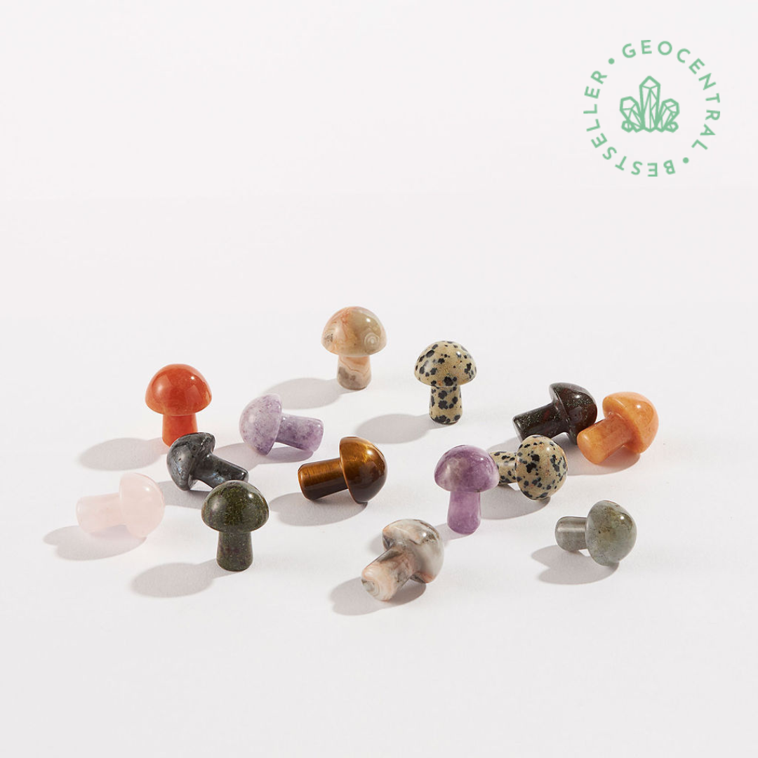 Assorted Mini Crystal Mushrooms