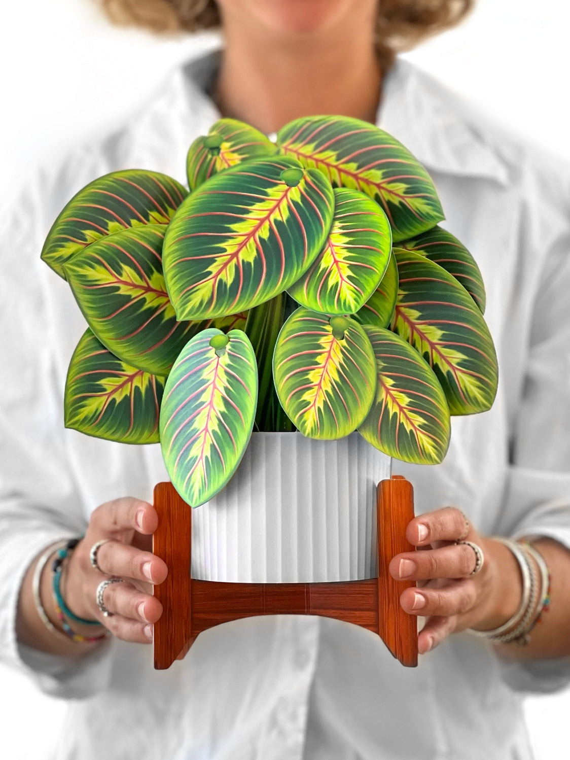 Prayer Plant Pop-Up Greeting Card