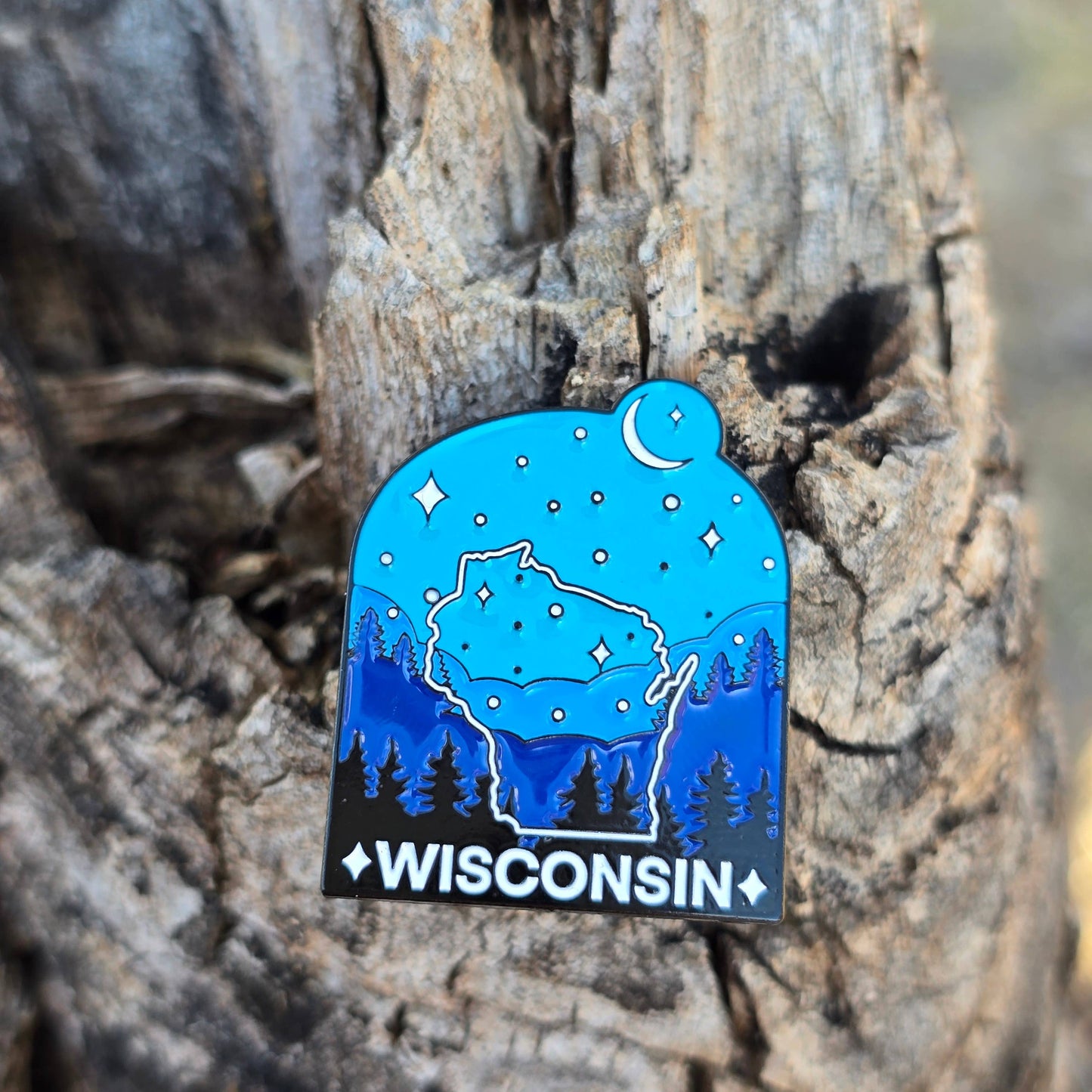 Wisconsin enamel pin