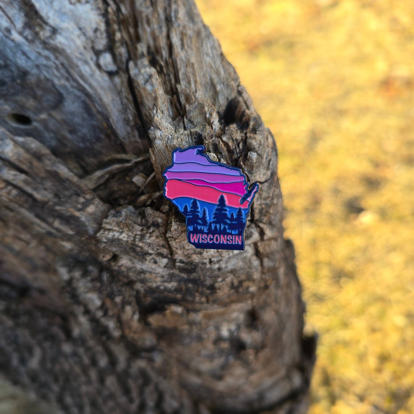 Wisconsin state enamel pin