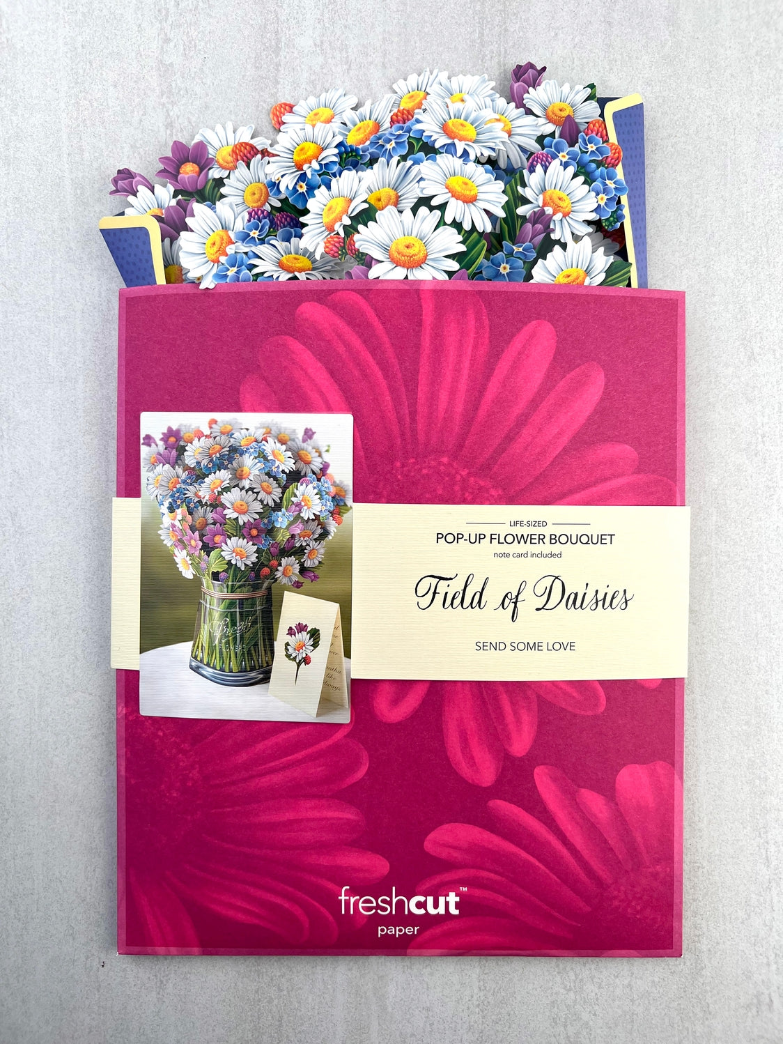 Field of Daisies Pop-Up Greeting Card