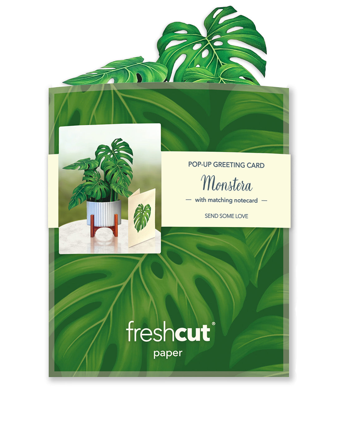 Mini Monstera Plant Pop-Up Greeting Card