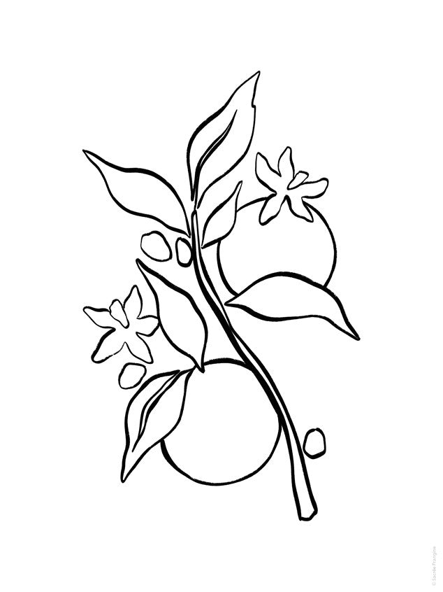 The Sweet Life Painting and Coloring Book