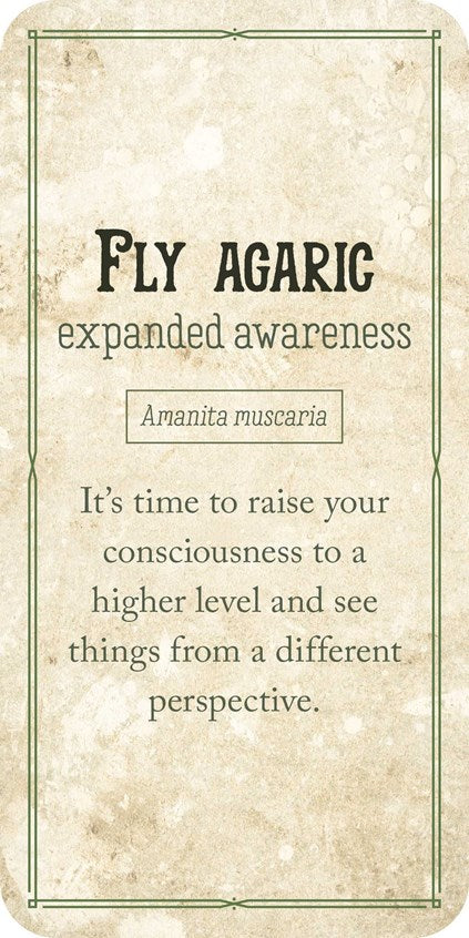 Mushroom Affirmations