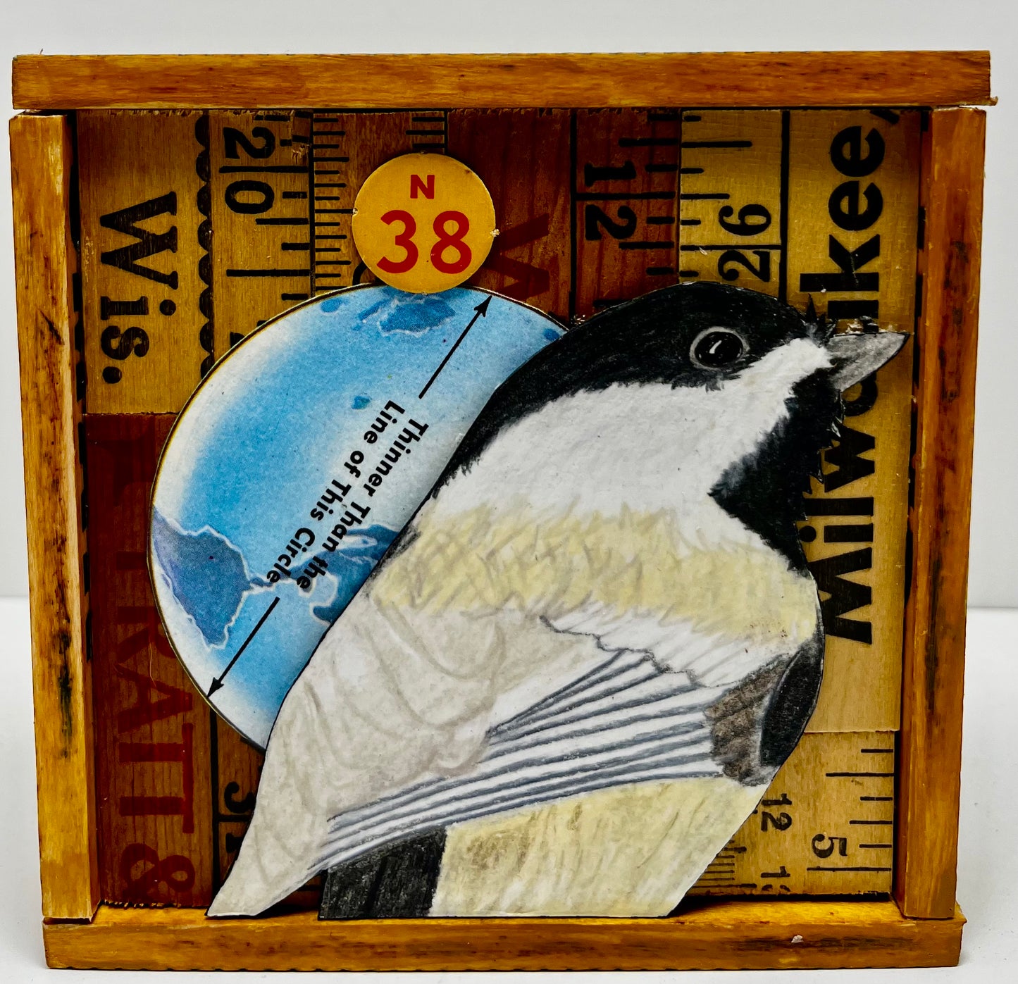 Black Capped Chickadee 4"x4"