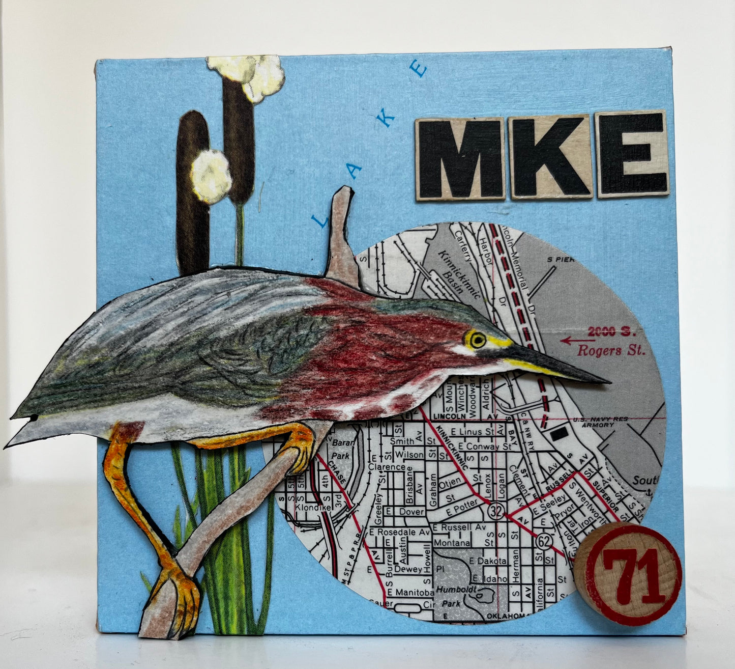 Green Heron In Bay View