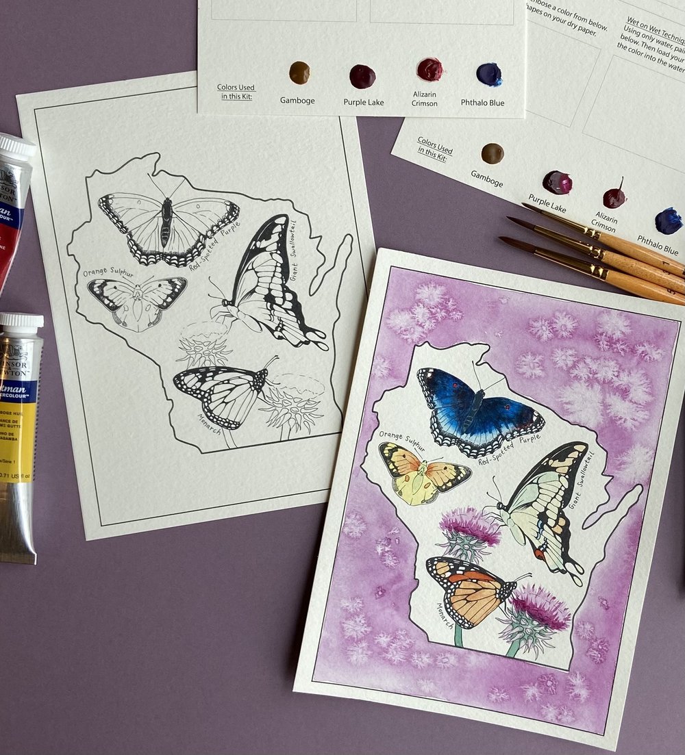 Date Night Watercolor Kit - Wisconsin Butterflies