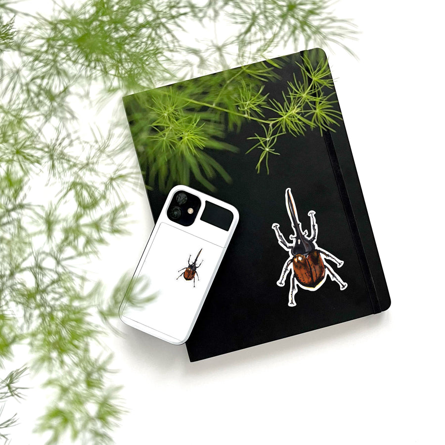 Hercules Beetle Duo Sticker Sheet