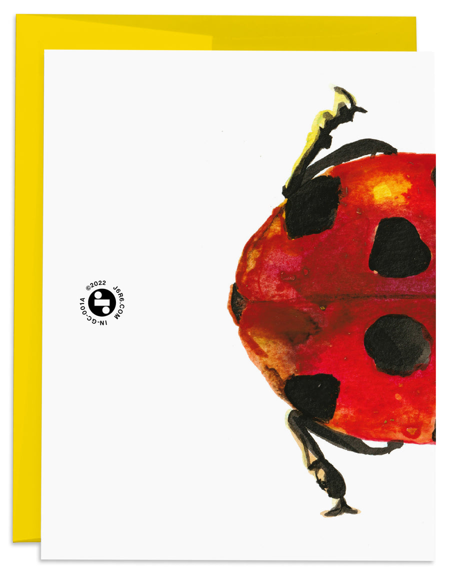 Ladybug Birthday Card