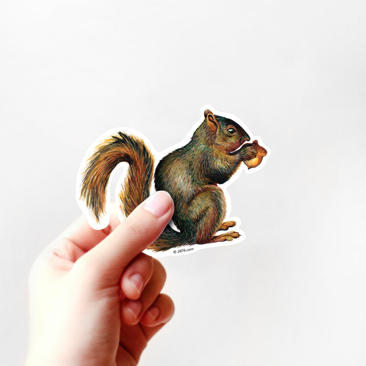 Squirrel Sticker by J6R6