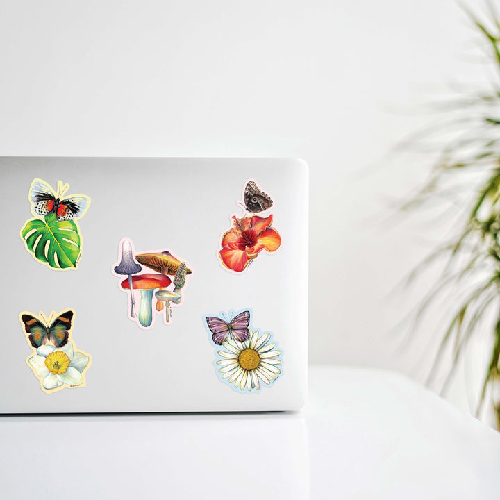 Daisy & Butterfly Sticker