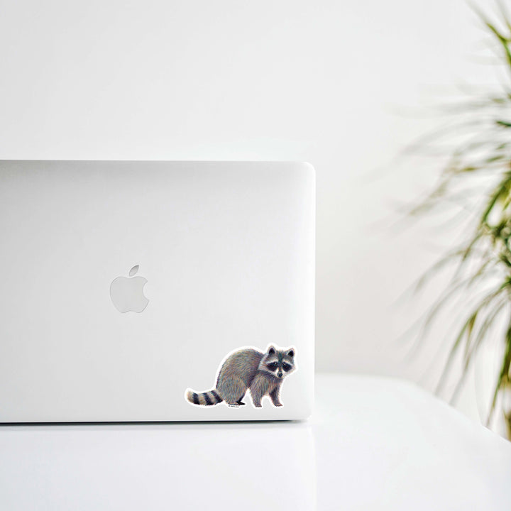 Raccoon Vinyl Sticker