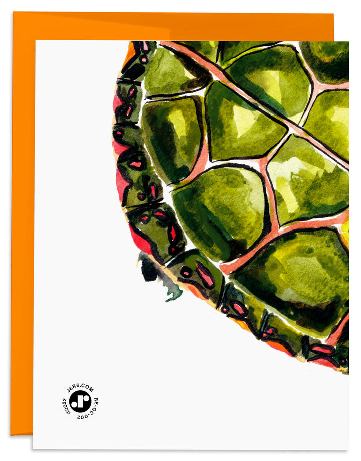 Turtle Shello Card