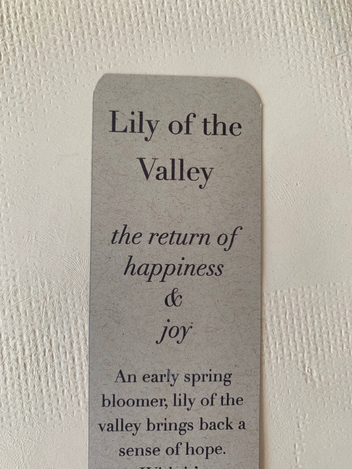 Oval Platter: Lily of the Valley