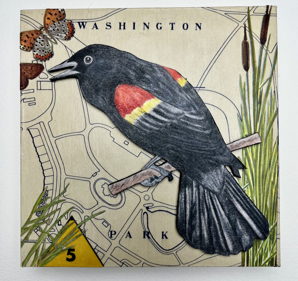 Blackbird Fly