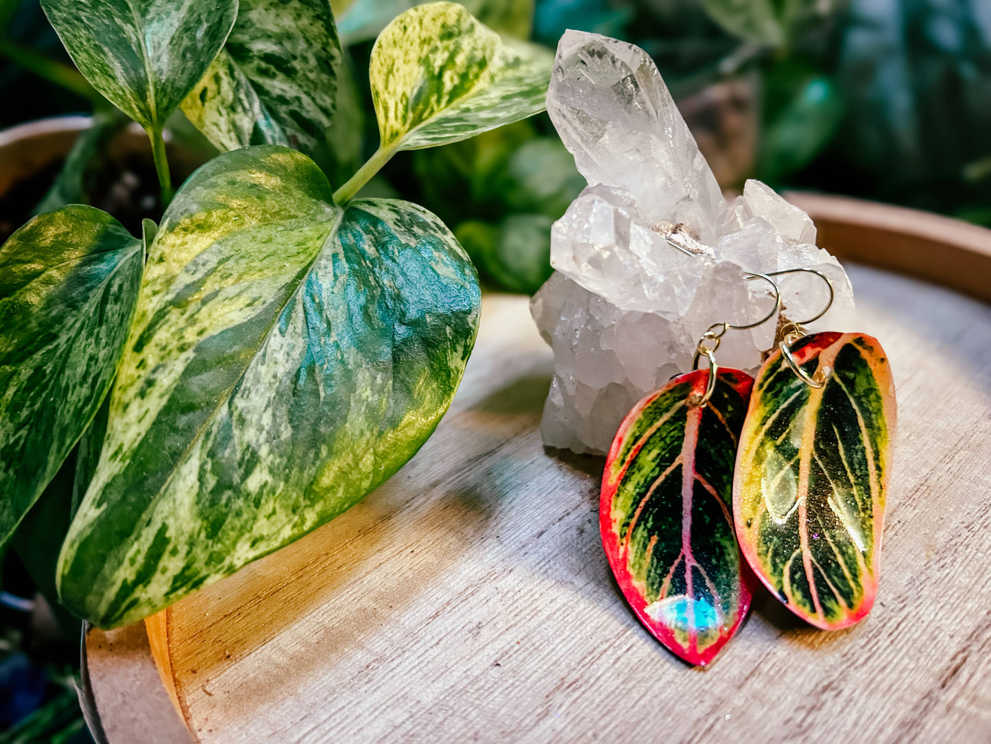 Aglaonema Earrings