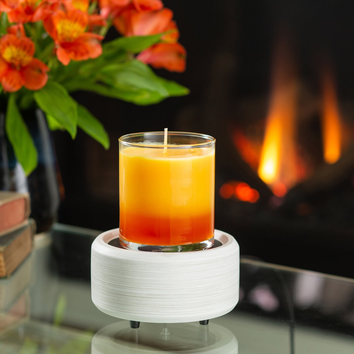 2-in-1 Wax Warmer