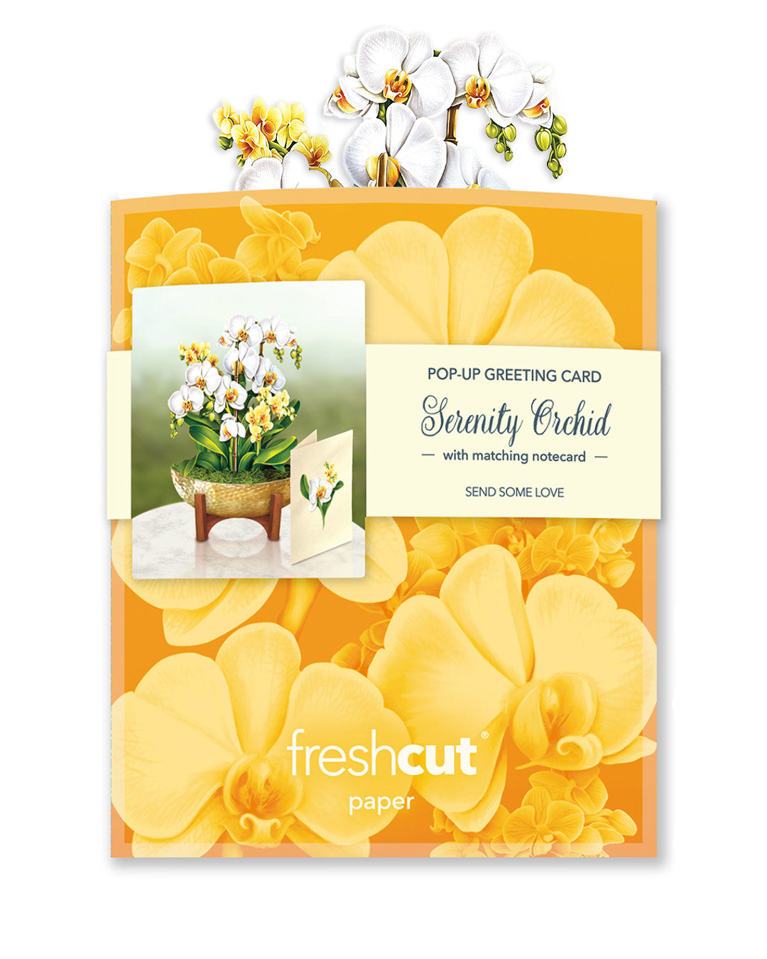 Mini Serenity Orchid Pop-Up Greeting Card