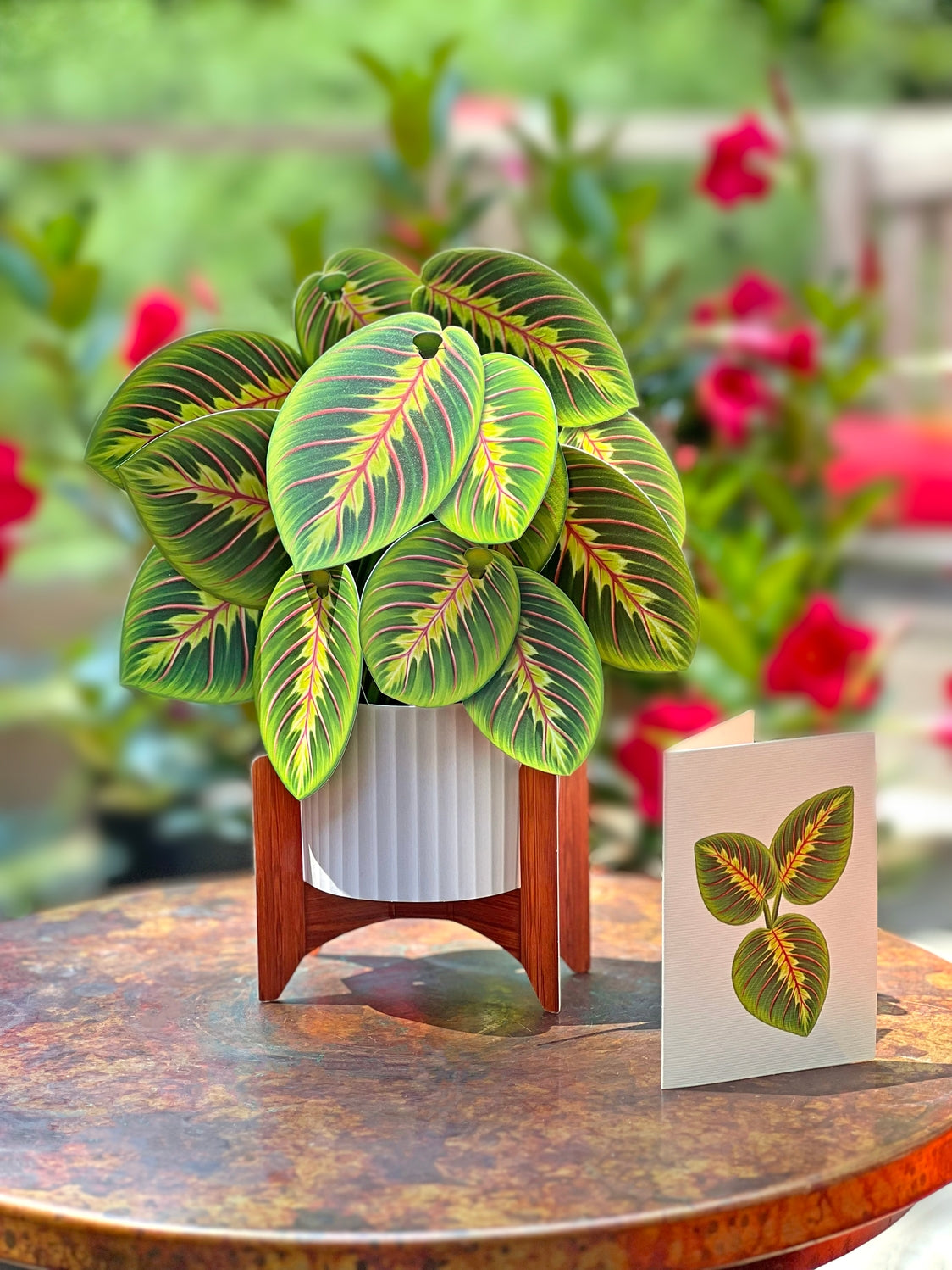 Prayer Plant Pop-Up Greeting Card