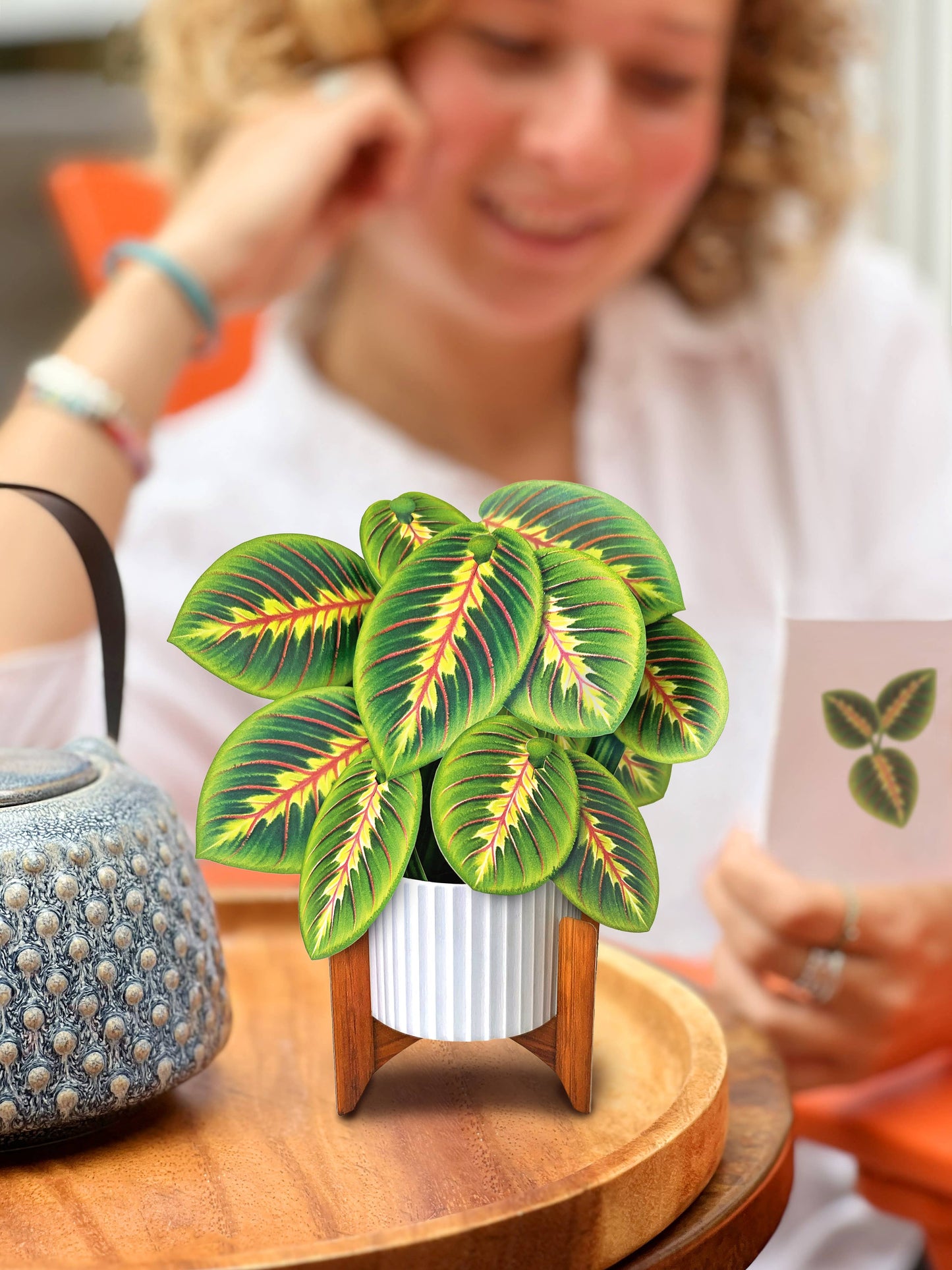 Mini Prayer Plant Pop-up Greeting Card
