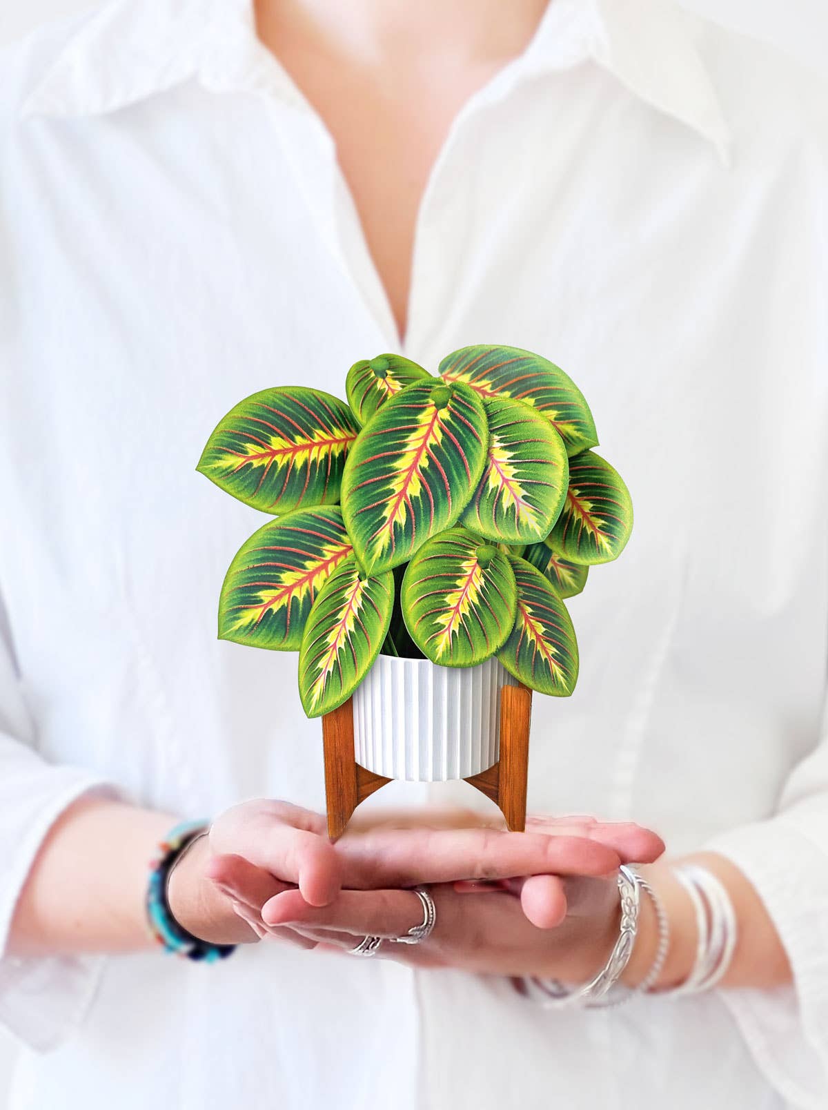 Mini Prayer Plant Pop-up Greeting Card