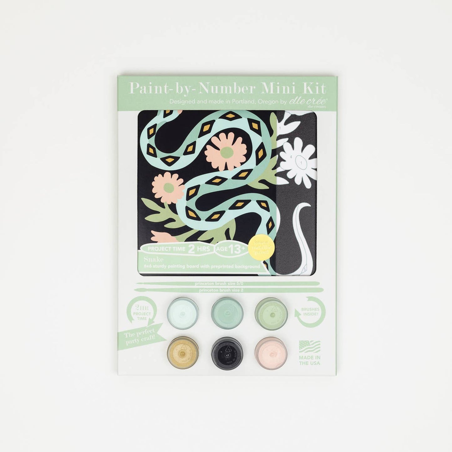 Snake MINI Paint-by-Number Kit