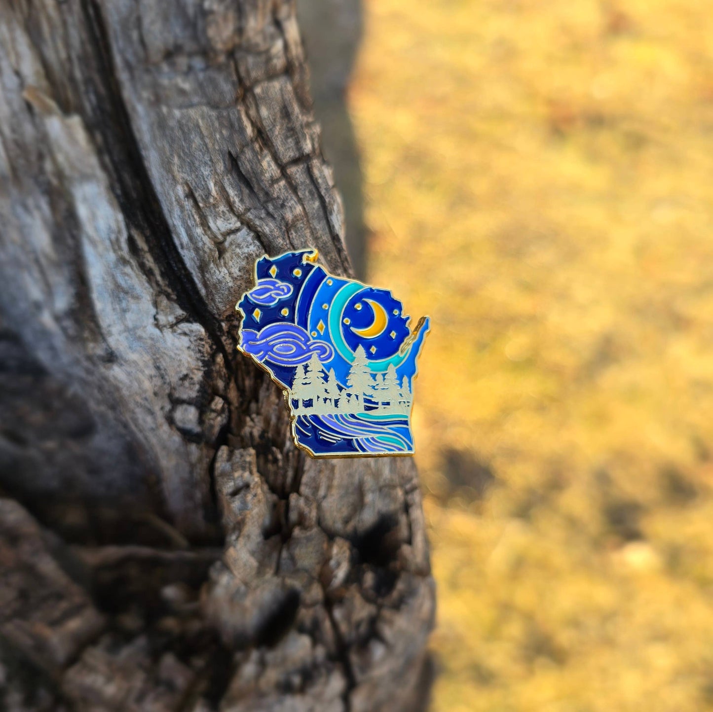 Wisconsin state pin