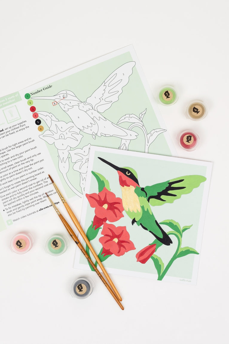 Hummingbird MINI Paint-by-Number Kit