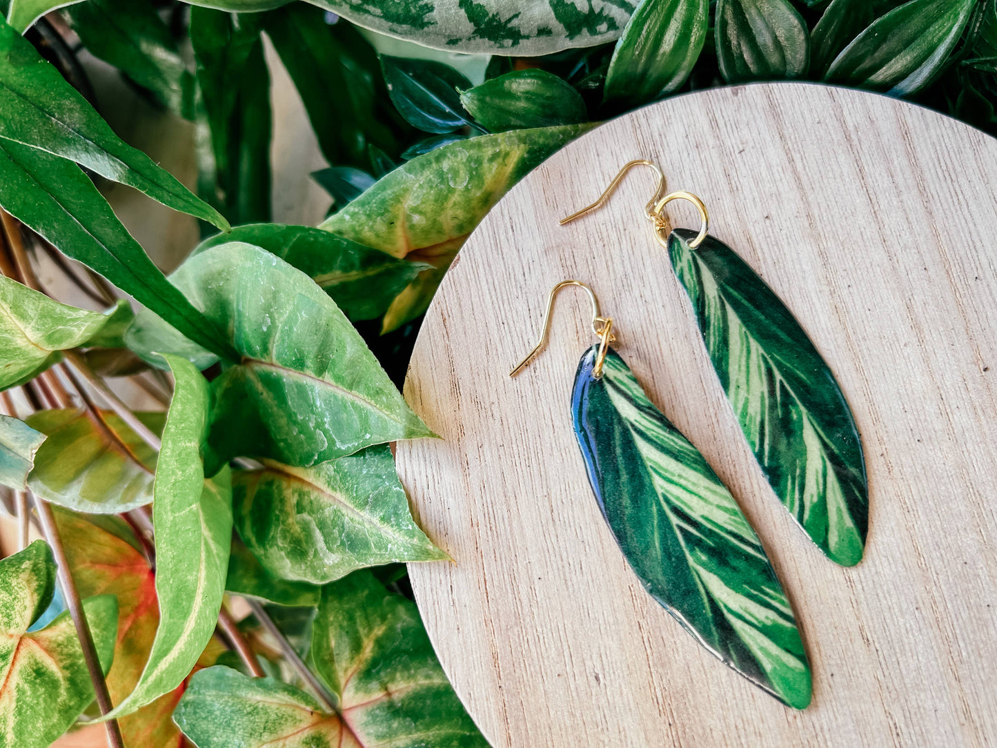Shell Ginger Plant Leaf Earrings