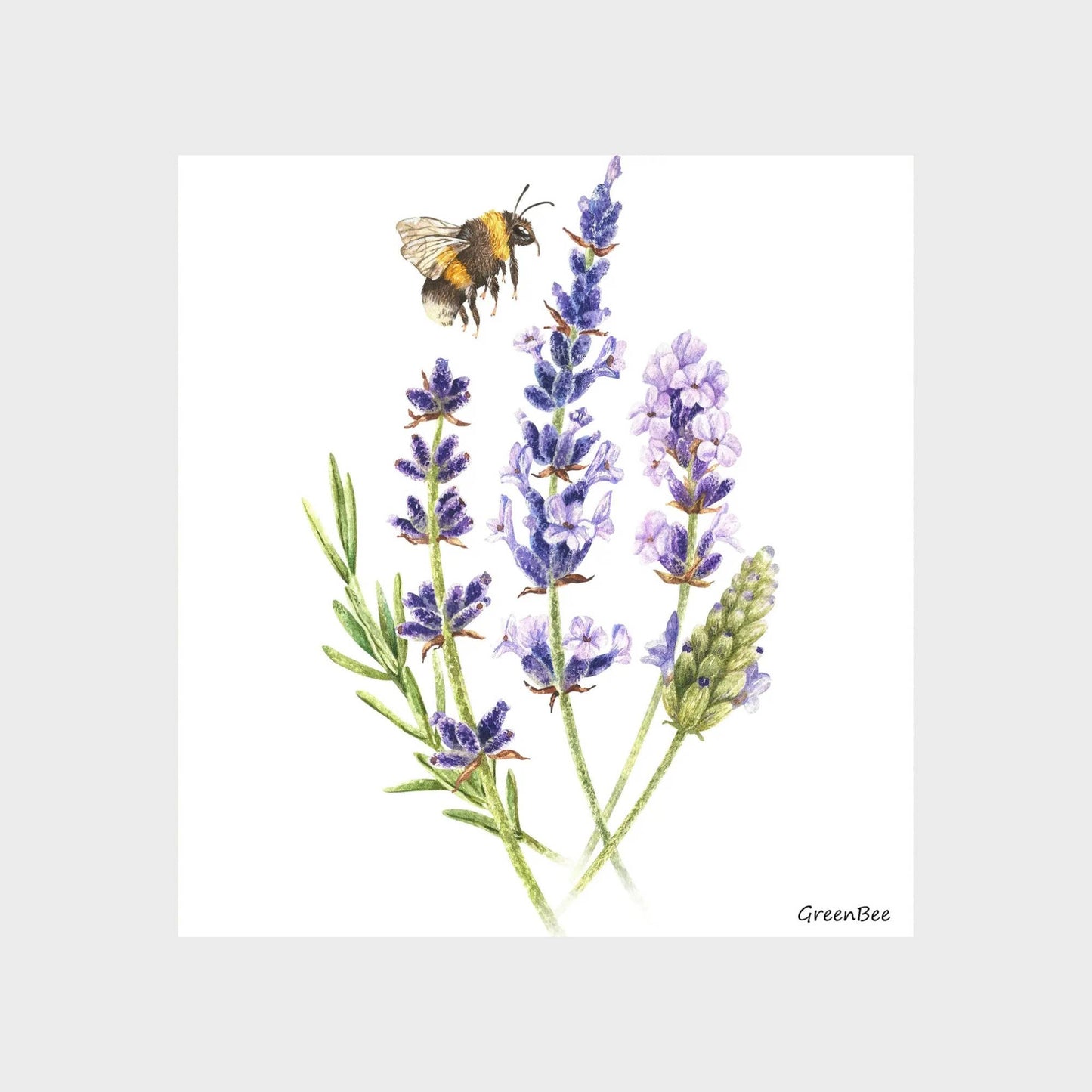 Lavender Swedish Dishcloth