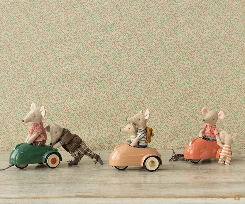 Mouse Car Coral