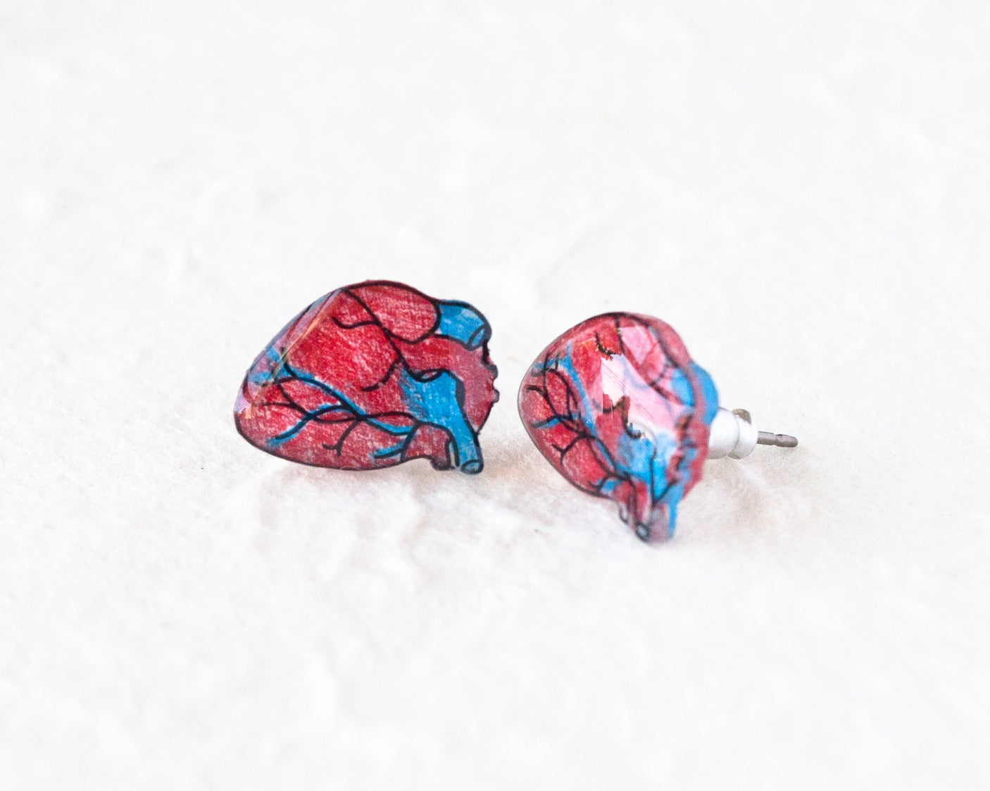 Anatomic Human Heart Earrings