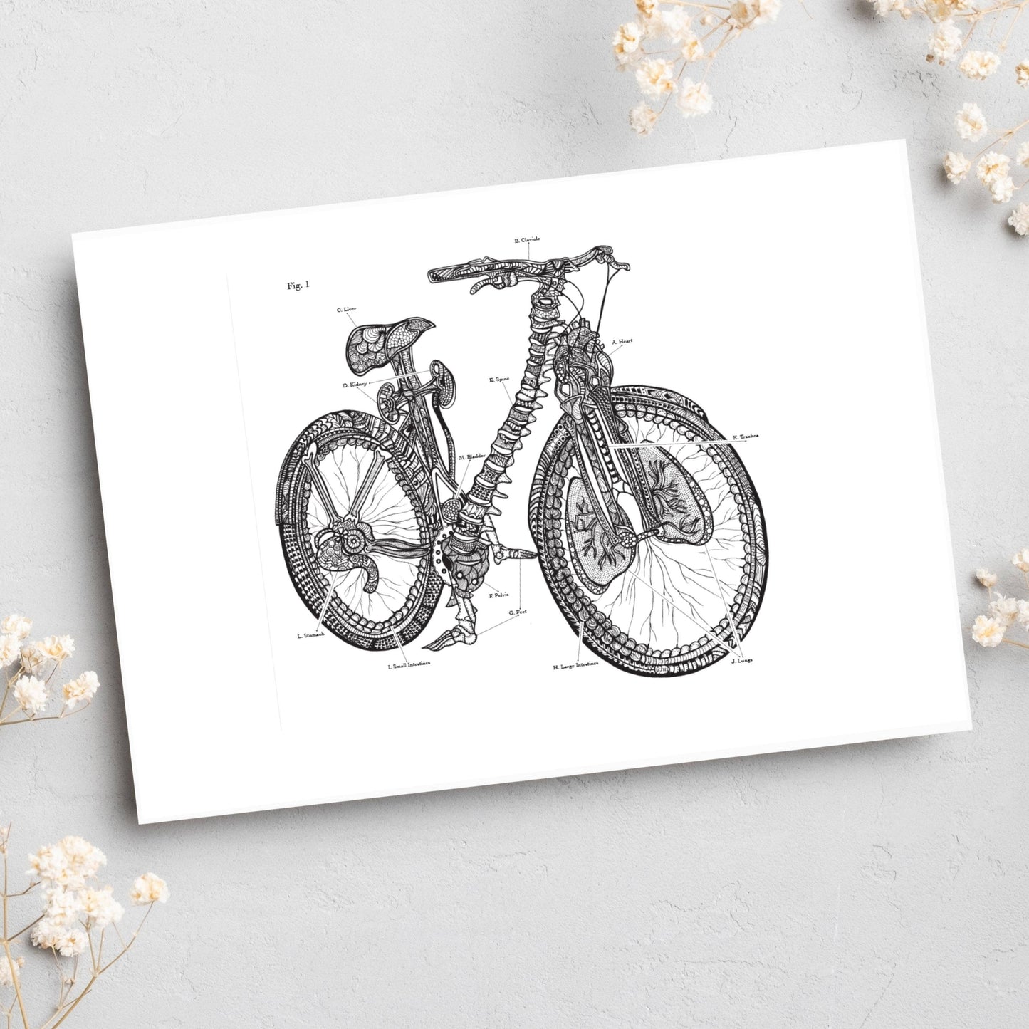 Anatomical Bicycle Greeting Card
