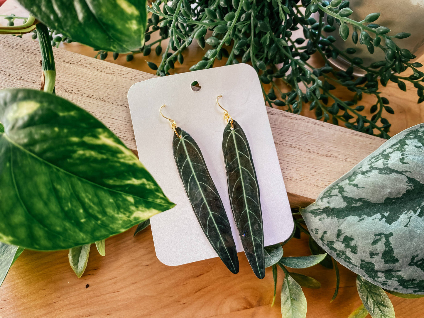 Queen Anthurium Plant Leaf Earrings