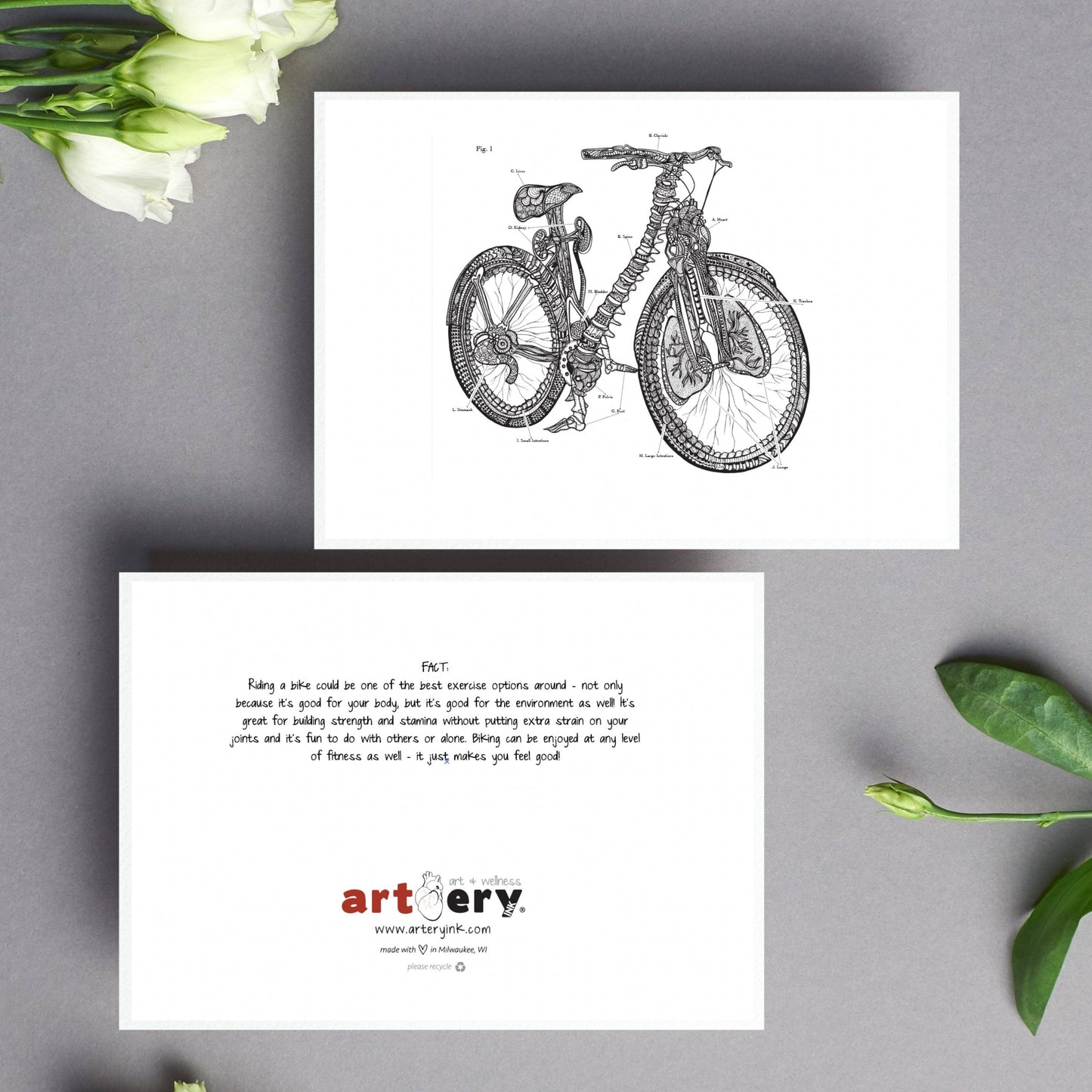 Anatomical Bicycle Greeting Card