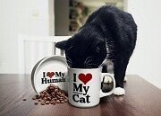 Heart Mug and Cat Bowl Set