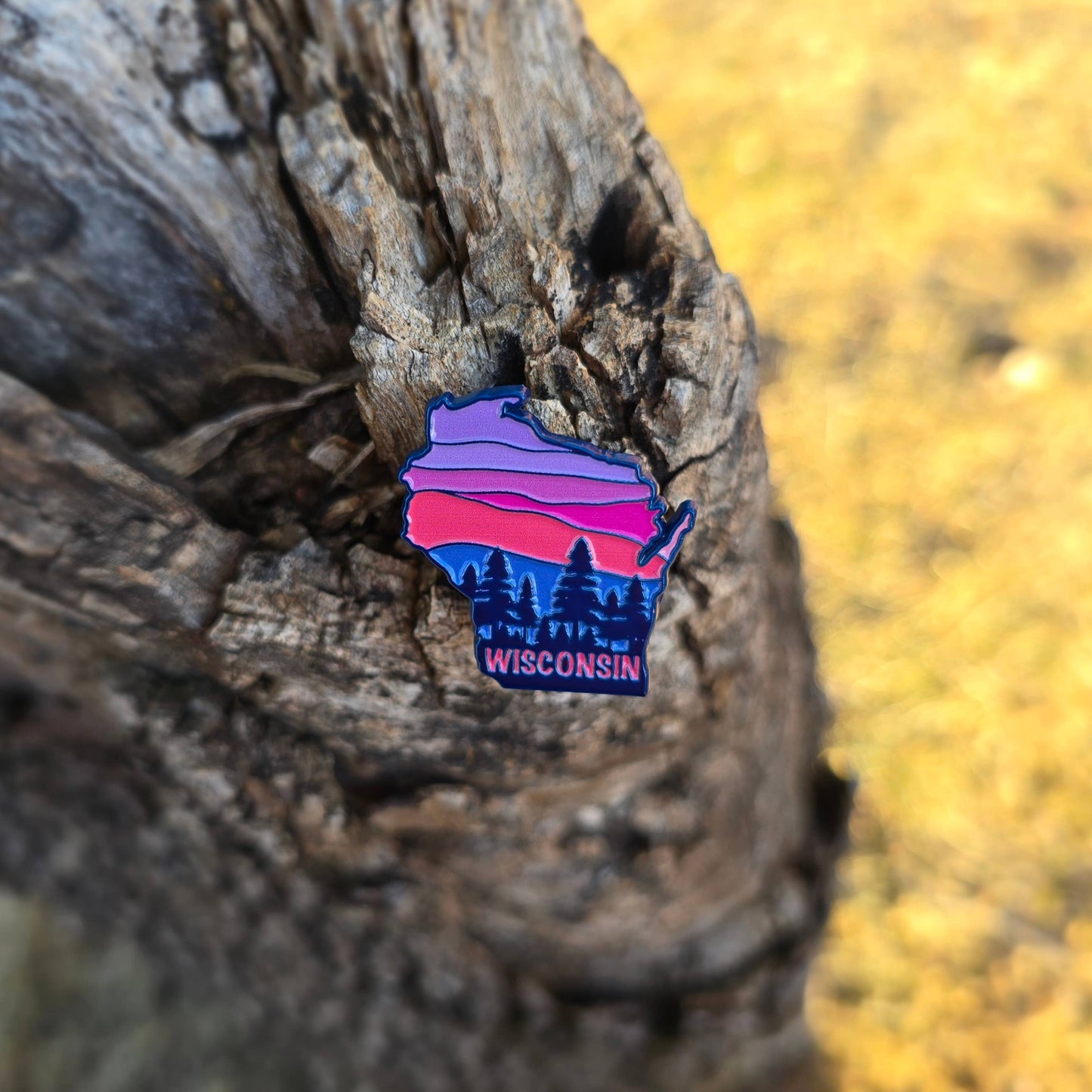 Wisconsin state enamel pin