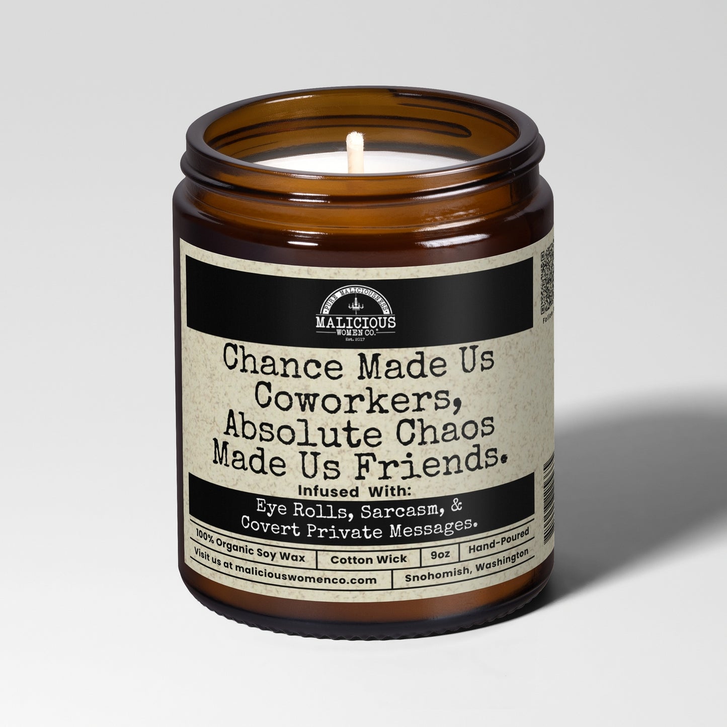 Chance Made Us Co-workers 9oz Work Candle Malicious Women Co
