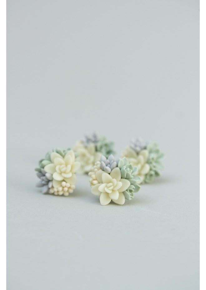 Succulent Stud Earrings - Ivory Green Gray Echeveria Plant Hypoallergenic Earrings