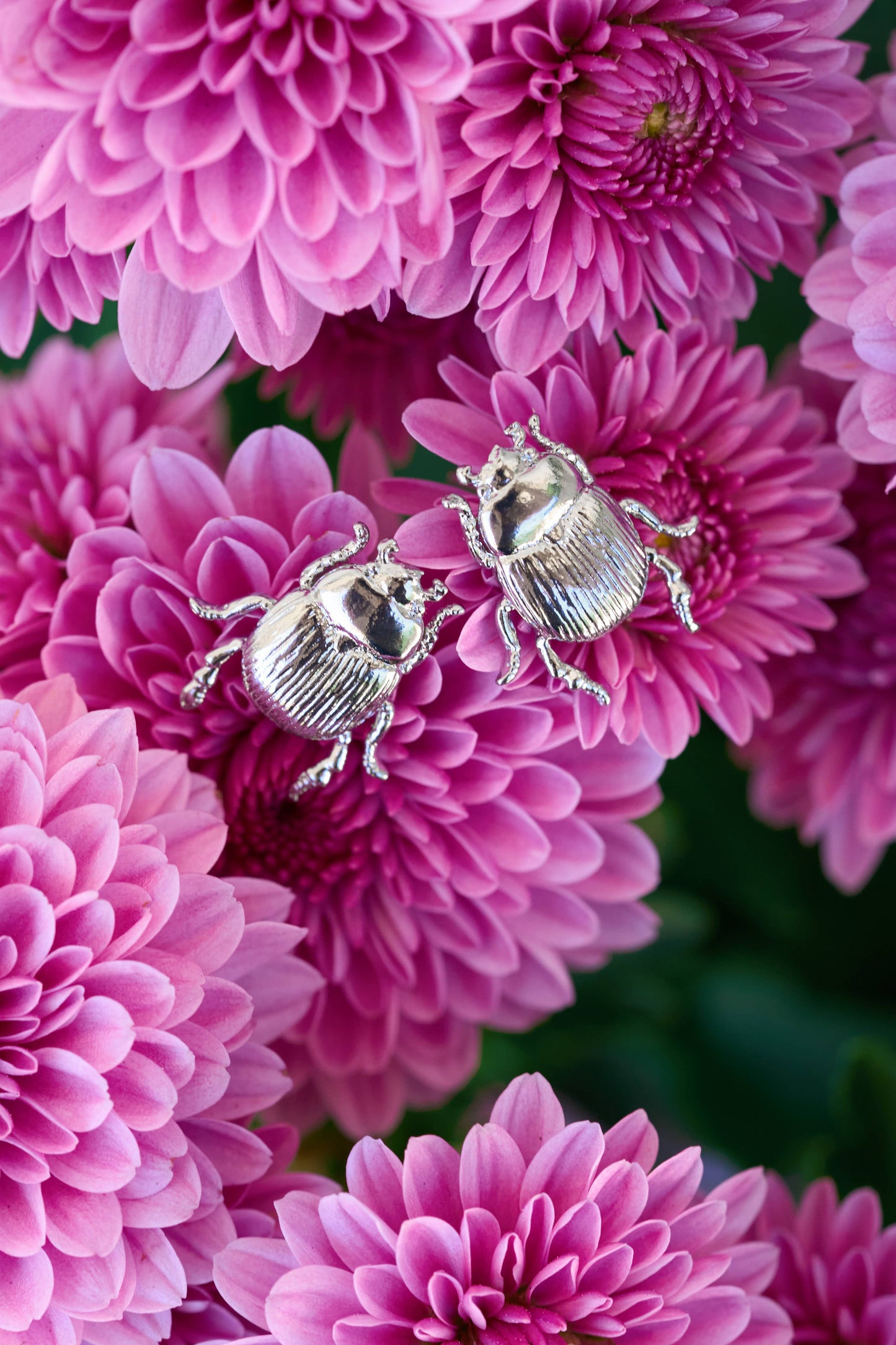 Fortune Beetle Studs -18K Gold Plated or Silver Rhodium