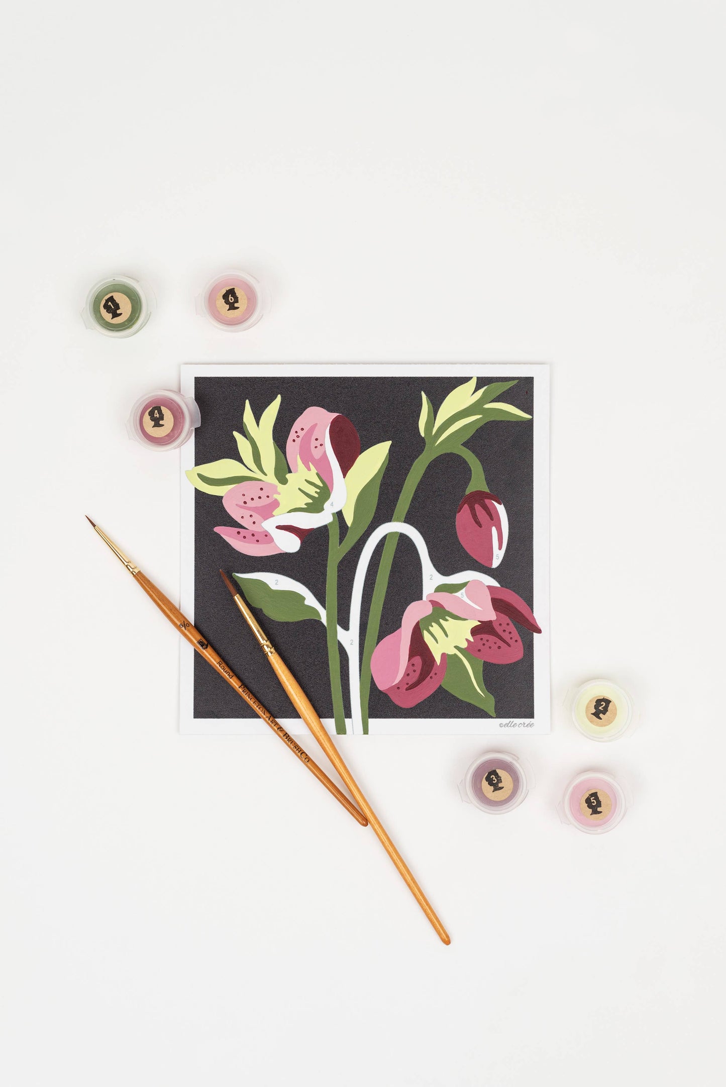 Hellebores MINI Paint-by-Number Kit