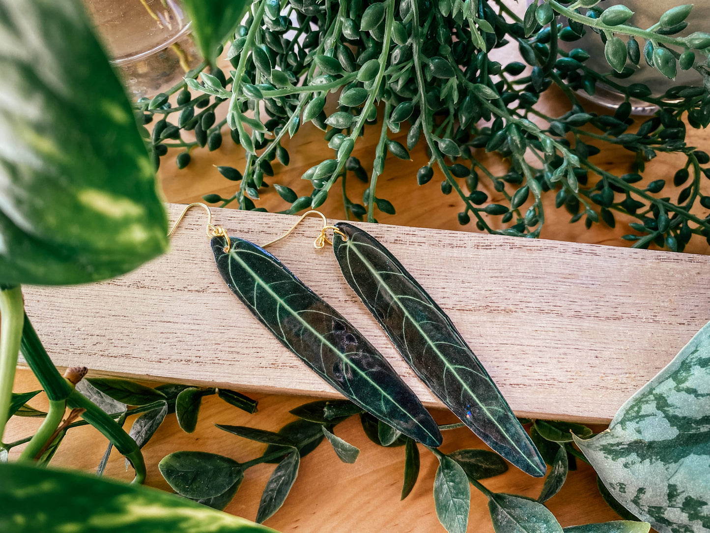 Queen Anthurium Plant Leaf Earrings