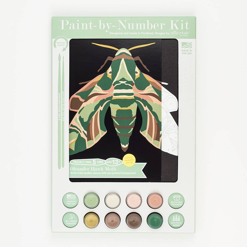 Oleander Hawk Moth Paint-by-Number Kit