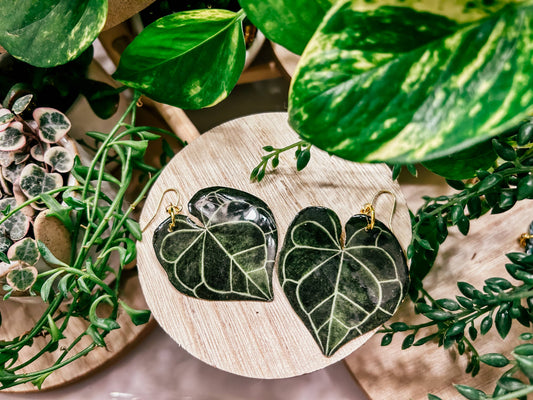 Anthurium Clarinervium Plant Earrings