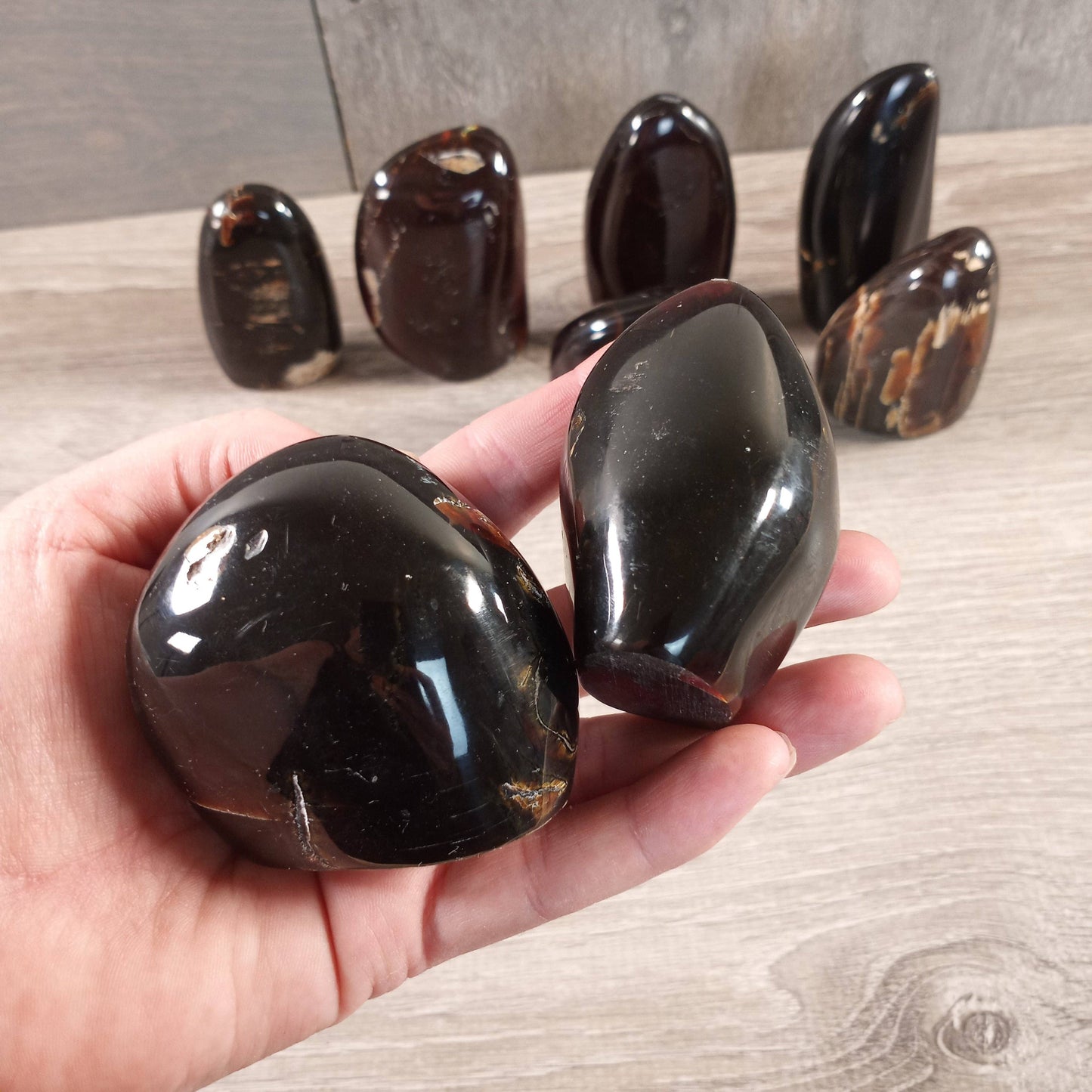 Indonesian Black Amber Freeform for Crystal Shops